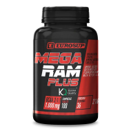ES MEGA RAM KYOWA 180