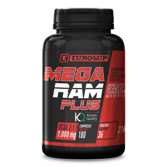 ES MEGA RAM KYOWA 180